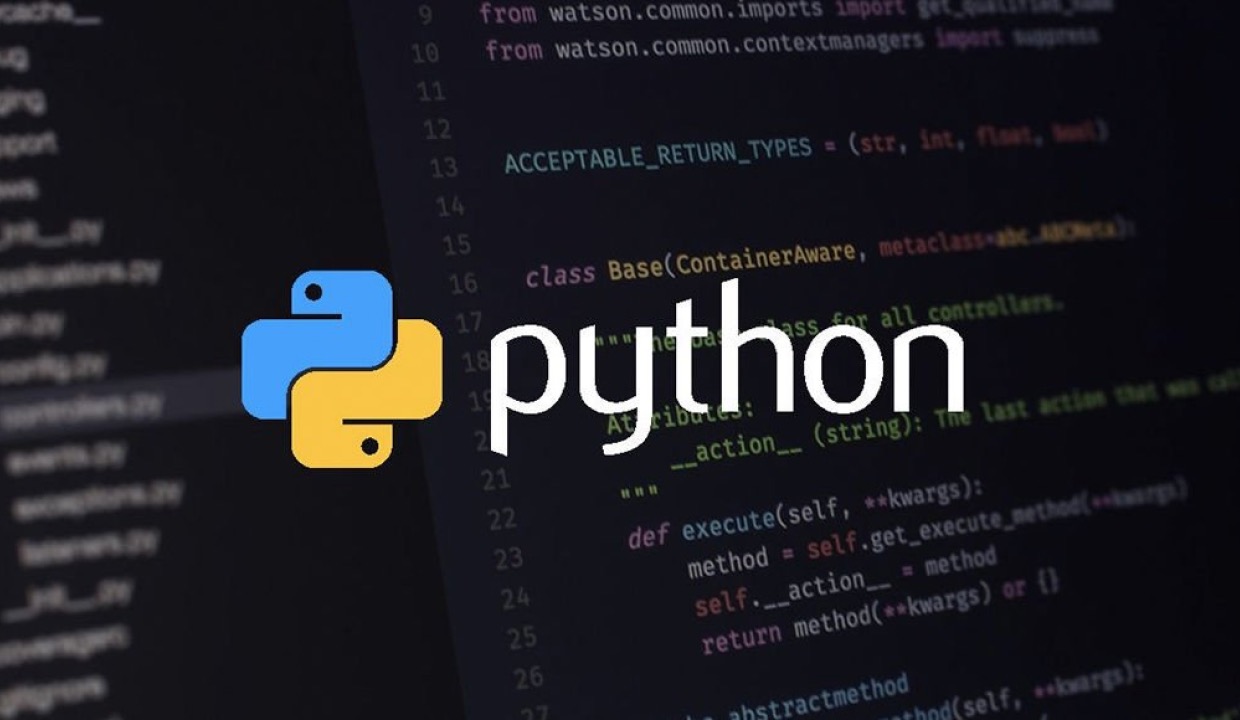 Python Nedir?